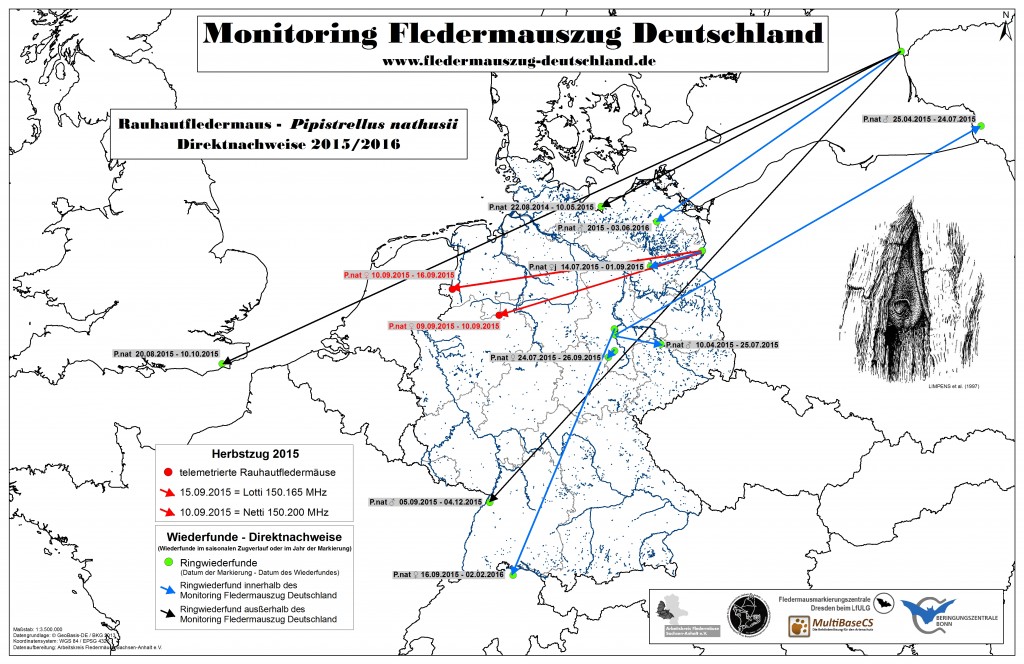 16_Projekt-Monitoring-Direktnachweise-2015_161